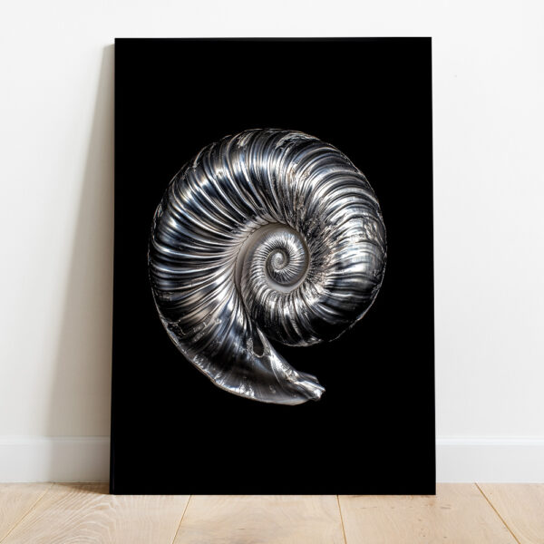 silver shell framed poster