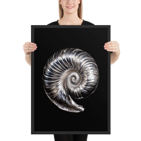 Silver Shell - Framed Poster - Image 2