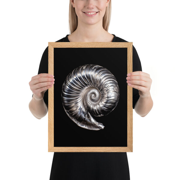 Silver Shell - Framed Poster - Image 4