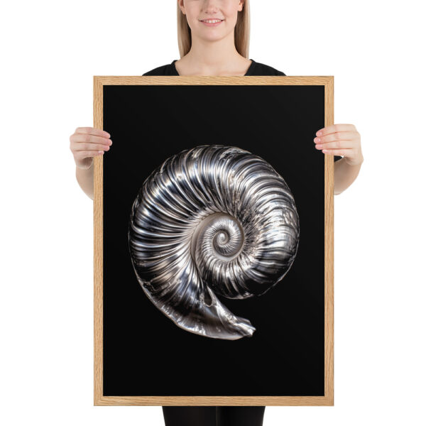 Silver Shell - Framed Poster - Image 5