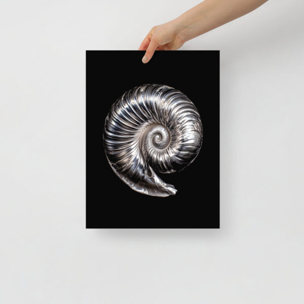 Silver Shell - Poster - Image 2