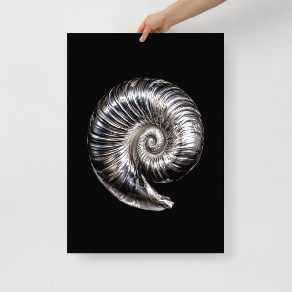Silver Shell - Poster - Image 3