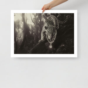 Jaguar Power - Poster