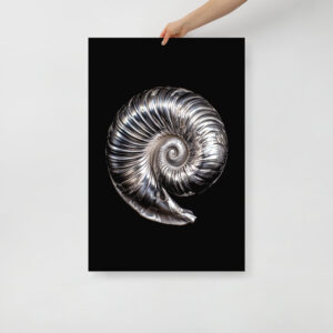 Silver Shell - Poster