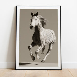 galloping horse framed poster