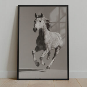 horse wall art