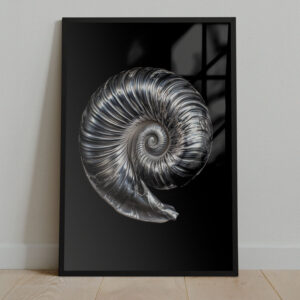 spiral print